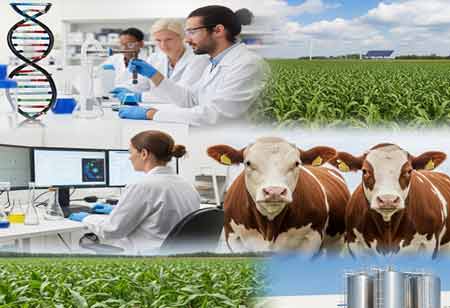 Genomics in the Agri-Food Economy: Creating Value from Genetic Intelligence in Canada